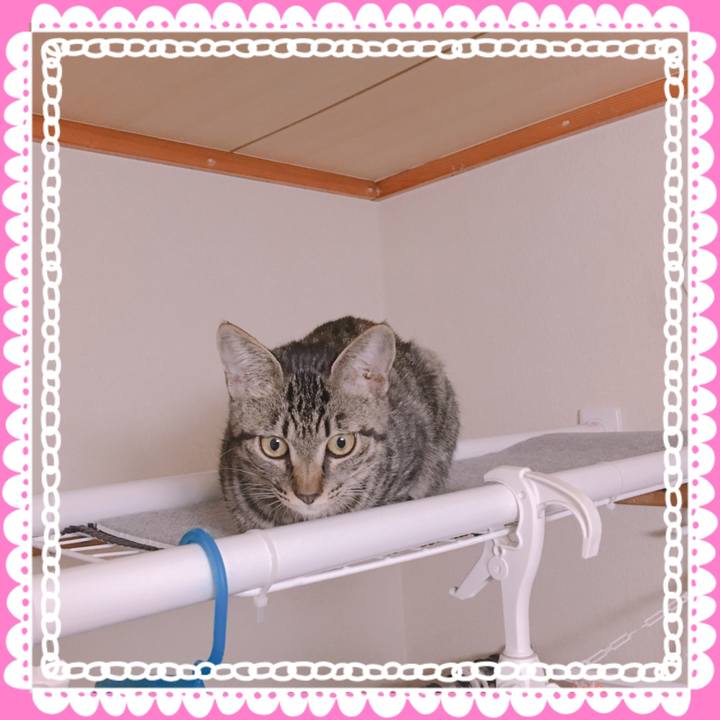 151d37c5 3130 4cc3 a4ea 3313869c0905 1541673194373