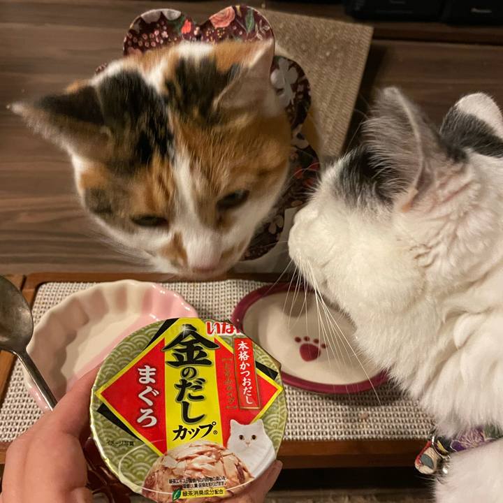 151d3d06 4b1b 4a7c ab7a ab8b37f8c7ff 1735042020858