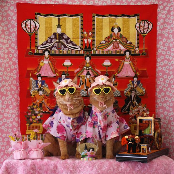 151d48b5 dc91 48b2 860c a6d354b655fd 1772459522892