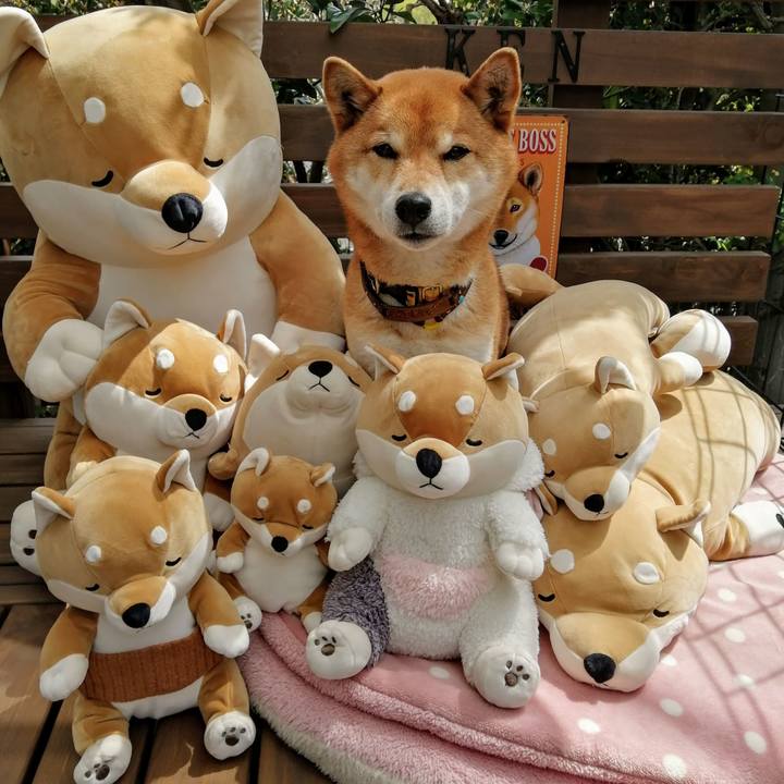 151d73db b1cd 48de be48 d6912b4729ef 1617847288460