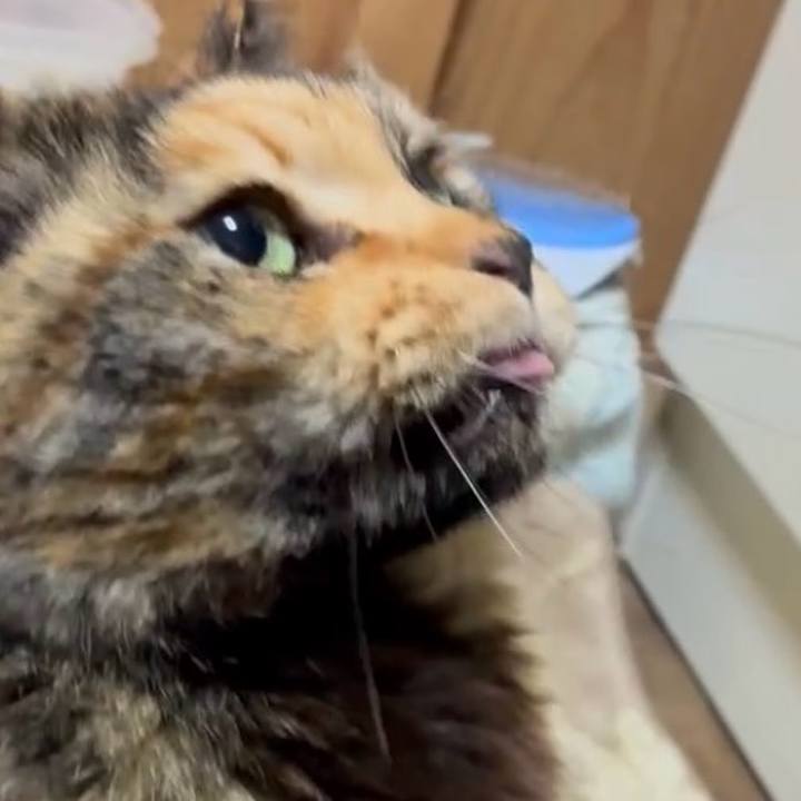 151d7855 ae56 4335 bc92 6bdc186eafdd 1775078430701