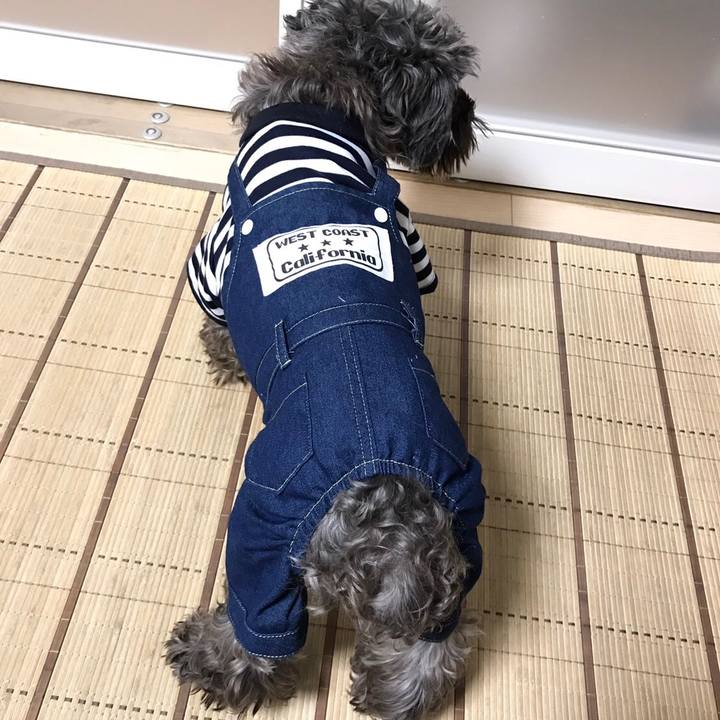 151e28f0 feb2 45aa 9ead a7e548a46304 1509354256583