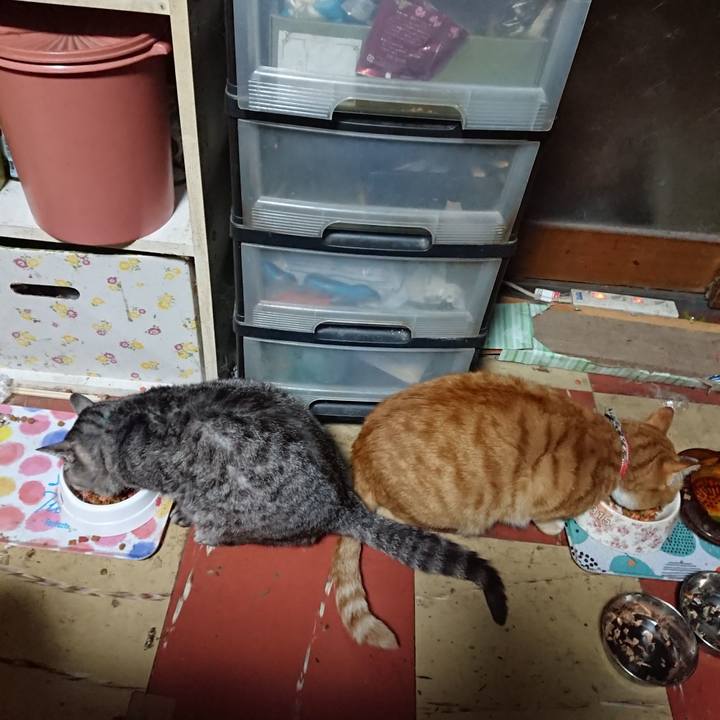 151e3c78 3da6 42b6 8362 c92eb7684076 1572725679085