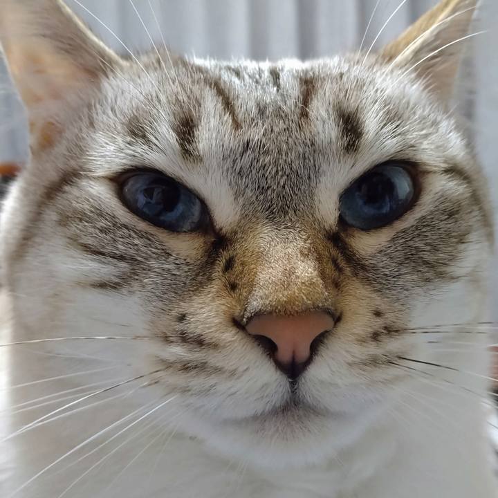 151e938d e303 45ed b37a 856e2d86ef97 1638612368117