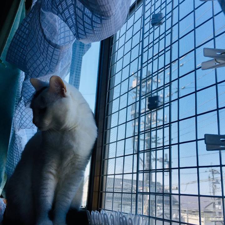 151e9ecf a148 4a53 a581 2dea8646295f 1558738868633