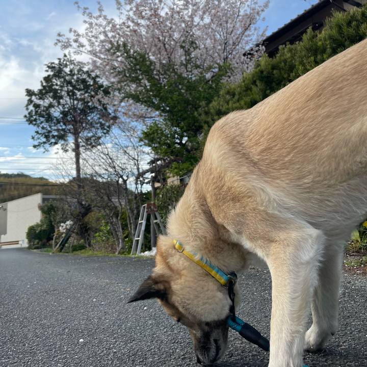 151eaee7 d8d0 435e 93ea 099116ea745f 1679919588514