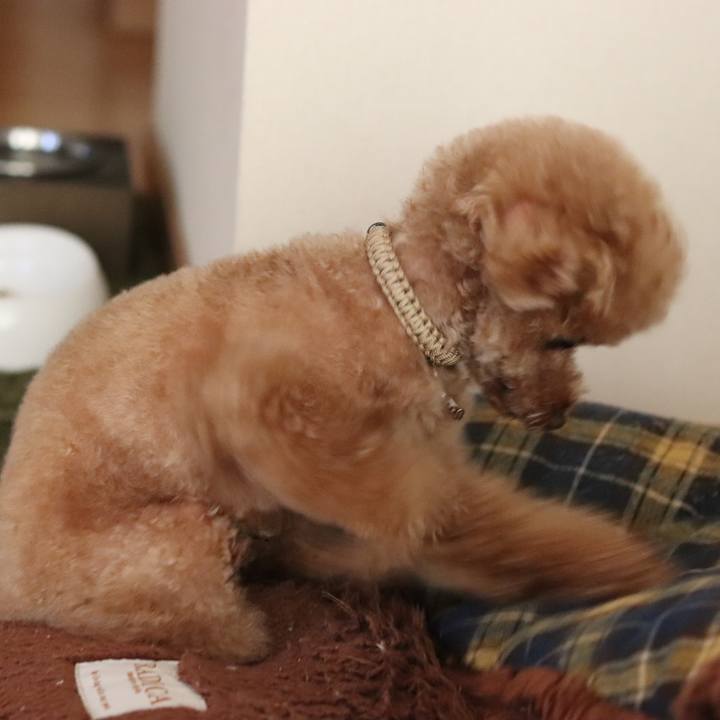 151eaf2d 4e4d 47e0 ab01 94fa9ec62330 1533040420376