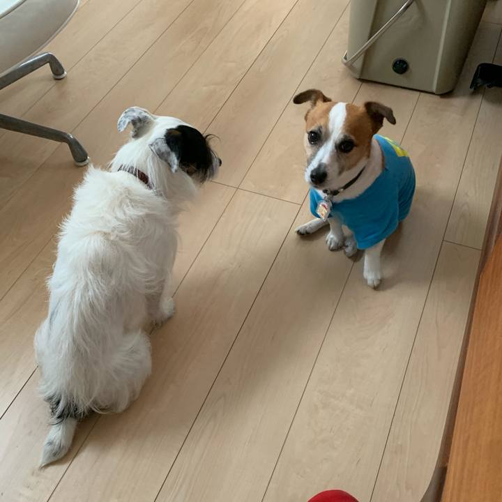 151ed39d f869 4013 a4a8 34acdd6dcfbb 1616916088206