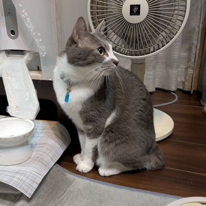 151f4274 3fc9 42e2 9994 f577cf4c2ead 1733953868513