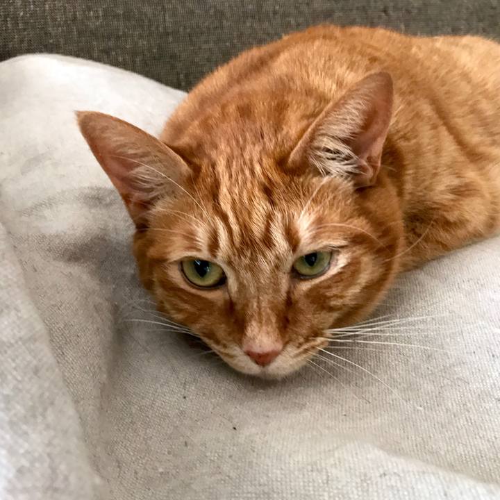 151f72e0 c145 42bf 8e40 f42a9caa6e6e 1520226394554