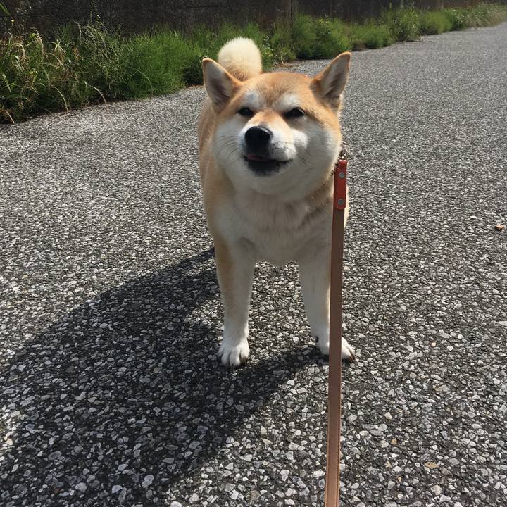 151f9032 3eef 4b31 84b8 766b560077bf 1559259930458