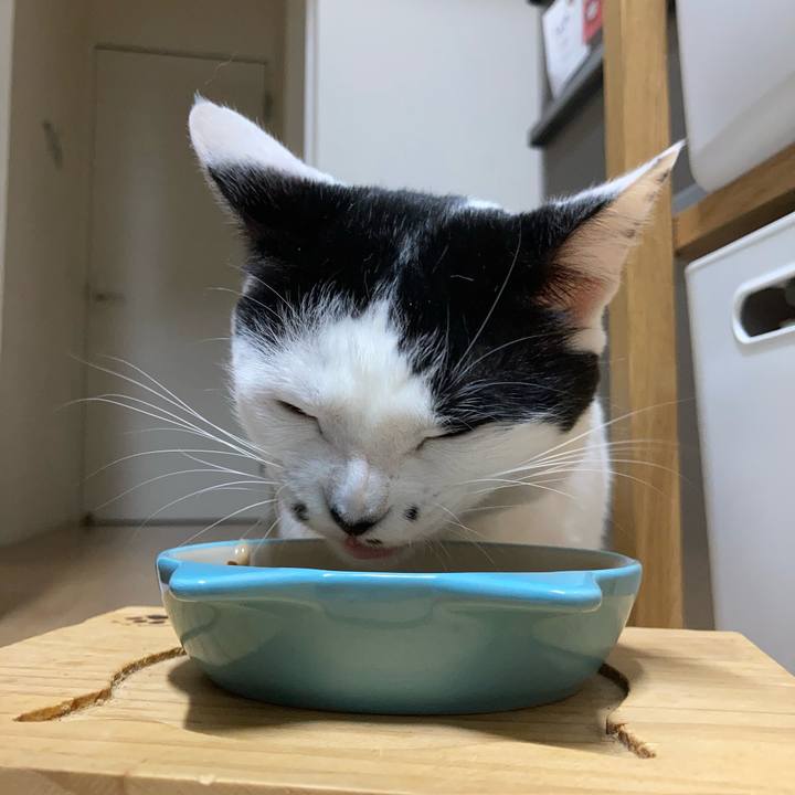 151f9bdd 6f4e 4e66 94bb 5f2ff7fad40d 1760386993624