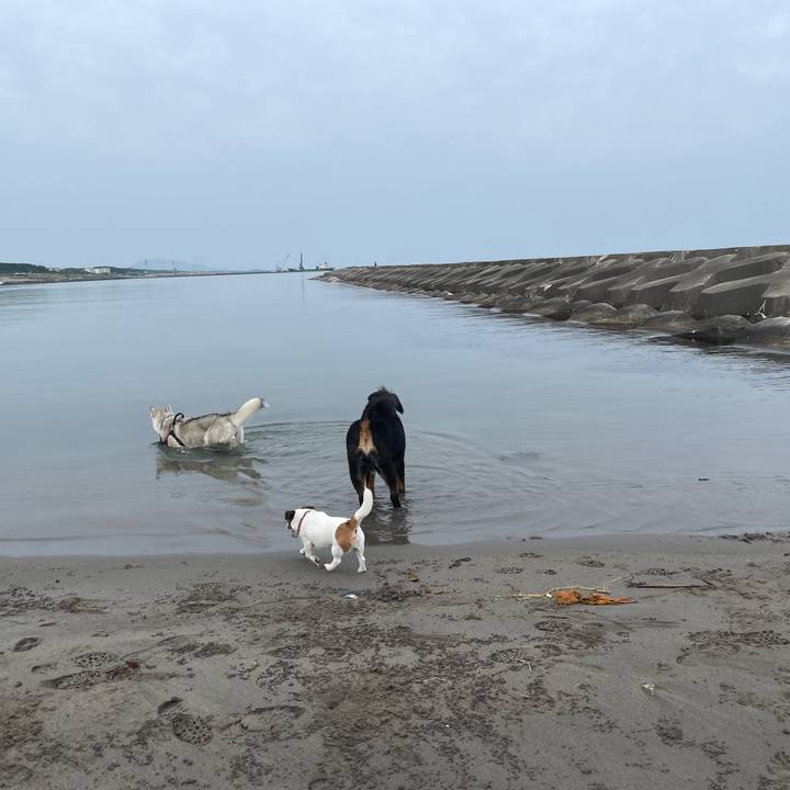 151fa123 a5e4 4edd a390 31d9d0282f1a 1718926101869