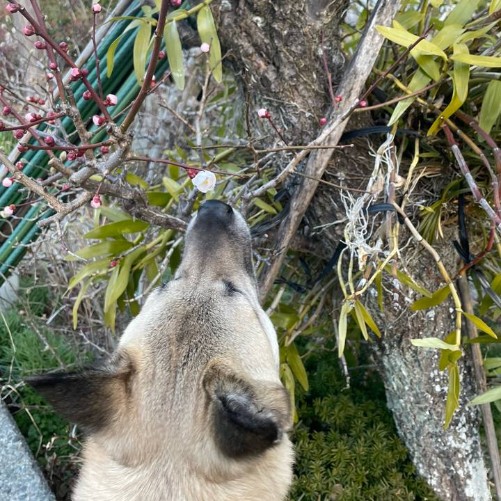 151fe706 a02c 4d39 bb0a 0073fe0ebb46 1646827653948