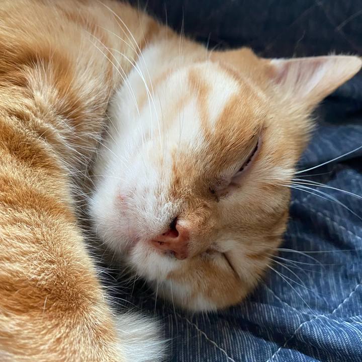 151febca 93e2 4b08 9d69 a8cf411acb9f 1623137048012