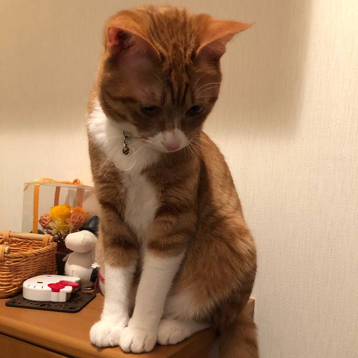 151ff1f2 63a9 4c7f 95da 1d5023f25361 1556197249839