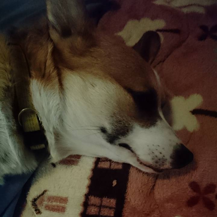 151ff2b1 80f0 44d0 b4db 3870dbbe1986 1578981103420