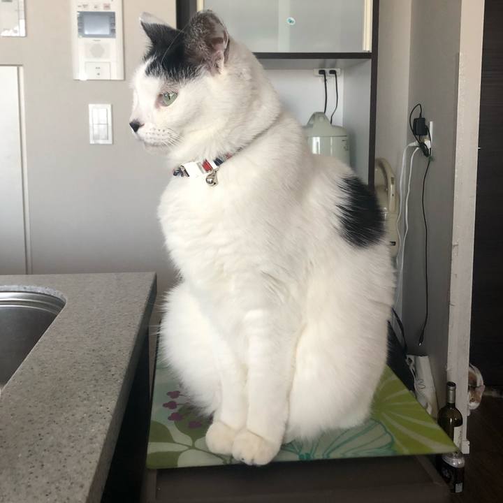 151ffd8f 5d19 465d a7e3 f1ca32419176 1577588117374