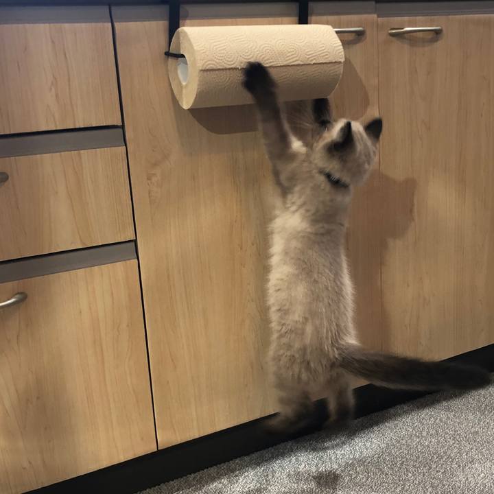 15200153 9381 48cb 8a68 955512448cc0 1588410134985