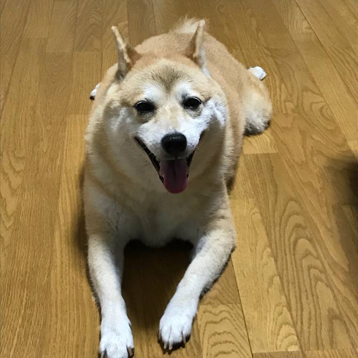 15200dbf 2963 4943 81a5 8ac72e820338 1535163232402