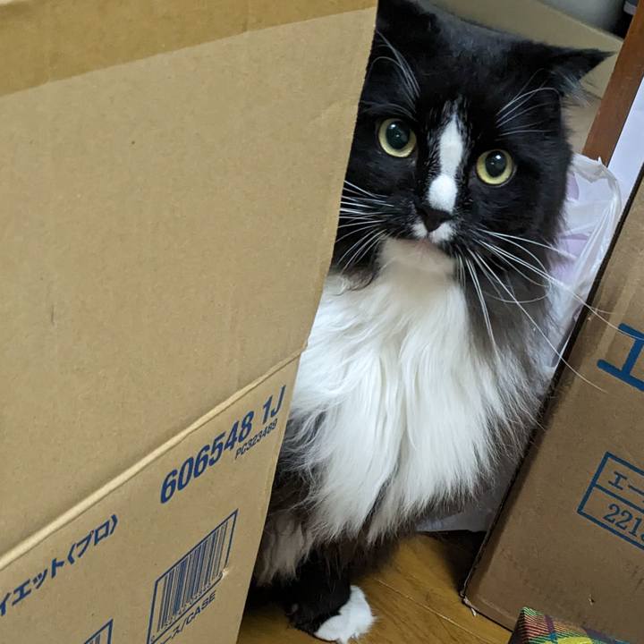 152051d5 6d26 472c 89c3 1ed143a0e0f1 1693056555592