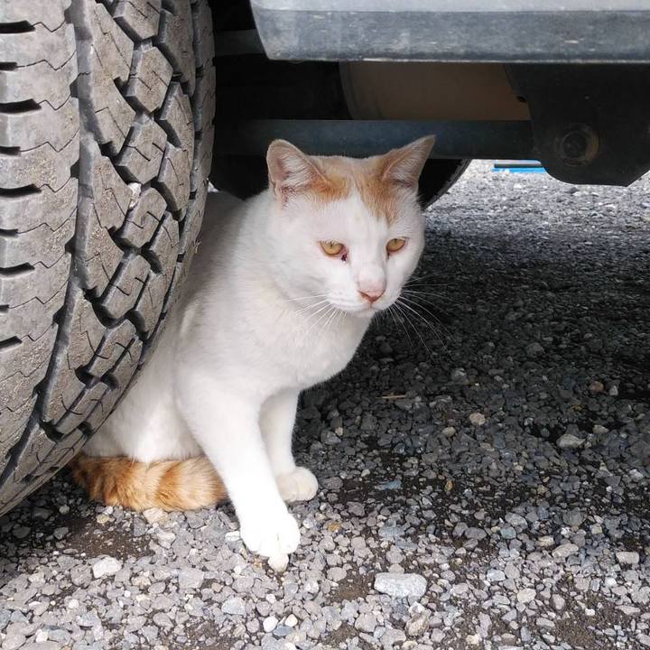 1520844d 31cc 41f4 a77a 76e1206f0cb8 1620952132164