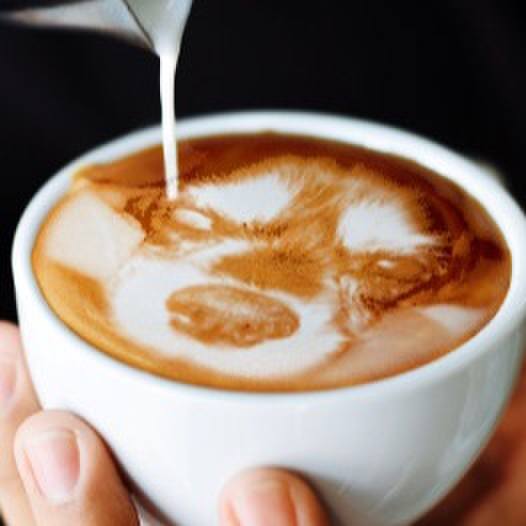 1520dd1d ed30 42d1 b824 3f934f9c92a2 1510389131749