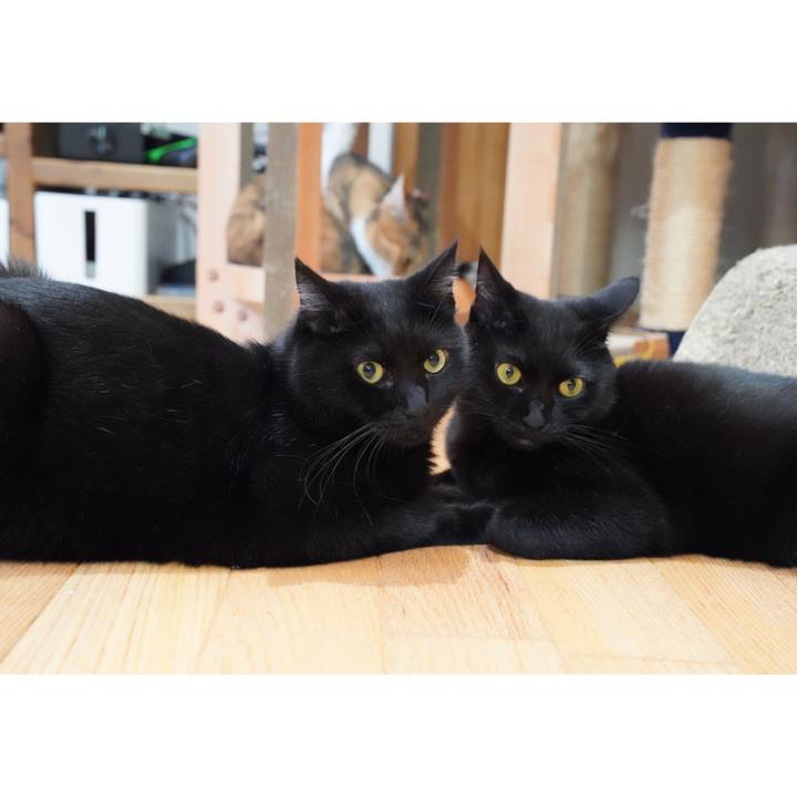 1520f4f1 3965 4002 b66b be2fe6f0ecfe 1666102470101