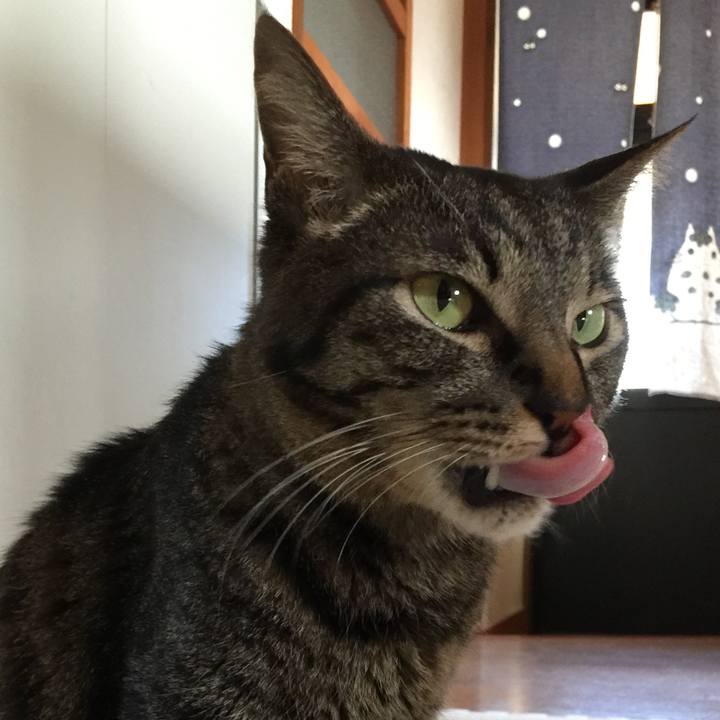 1520f67a dcf7 4a8b 9fa3 70ff3de7ee02 1533076921090