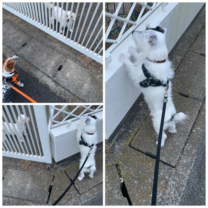 15211a00 73cc 407b 99f4 9b75ab9607f6 1571819008044