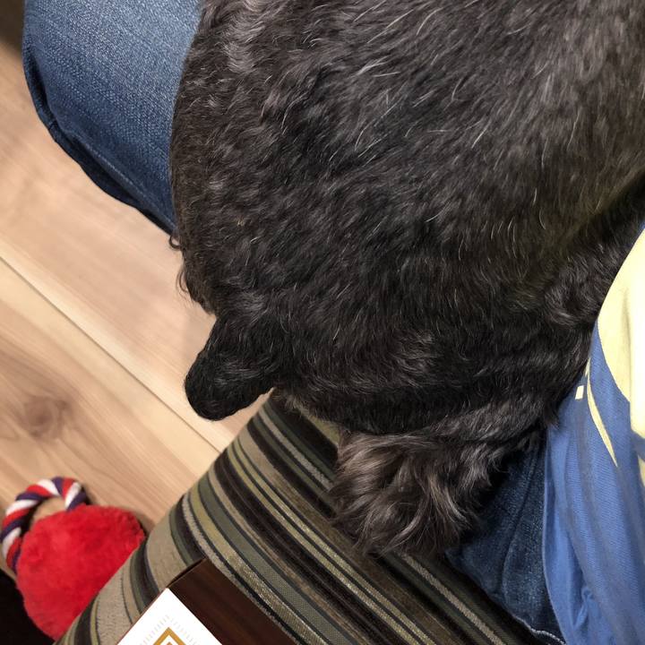 152135f7 d12d 43ae 860b 6d95ad7a8067 1531318490265