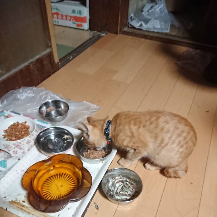 15216330 cb64 4db2 aa7b 67d5465adfa1 1633984124160