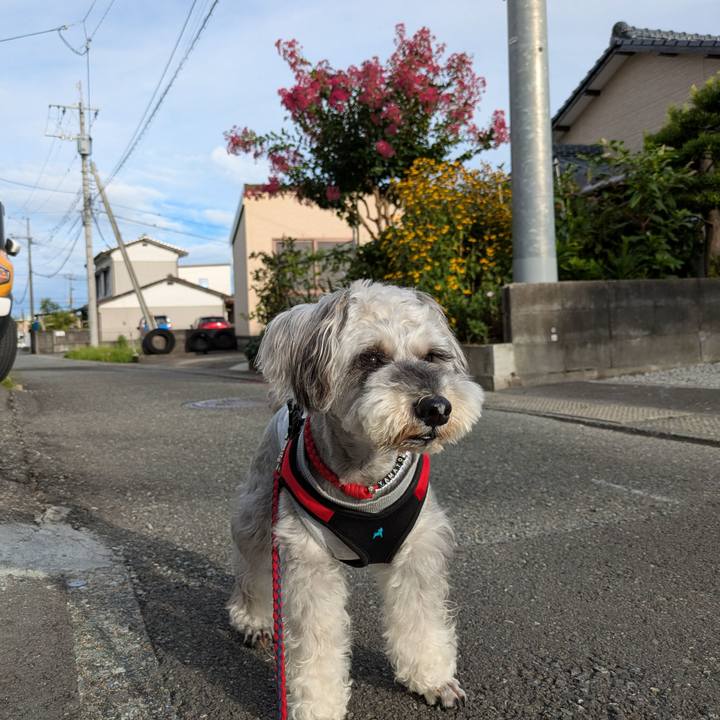 15217e9d 3908 4750 8db7 6dd3faa06156 1752973743508