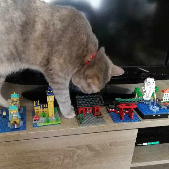 152185c3 10d0 4839 afd6 d2b945d35589 1533432338449