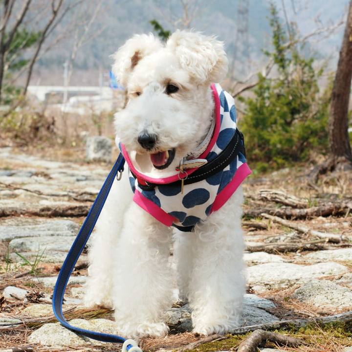 1521b99d b974 45ef a112 9f6cea694da5 1521957756277