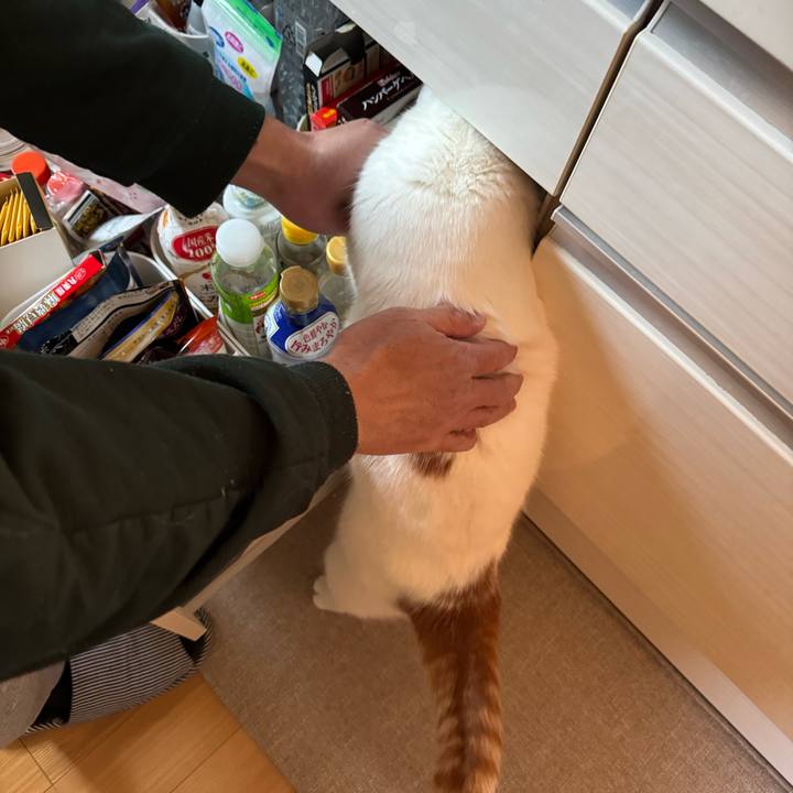 1521d8d6 5d03 4fab 81d2 e11b3b6e0fed 1775617475824