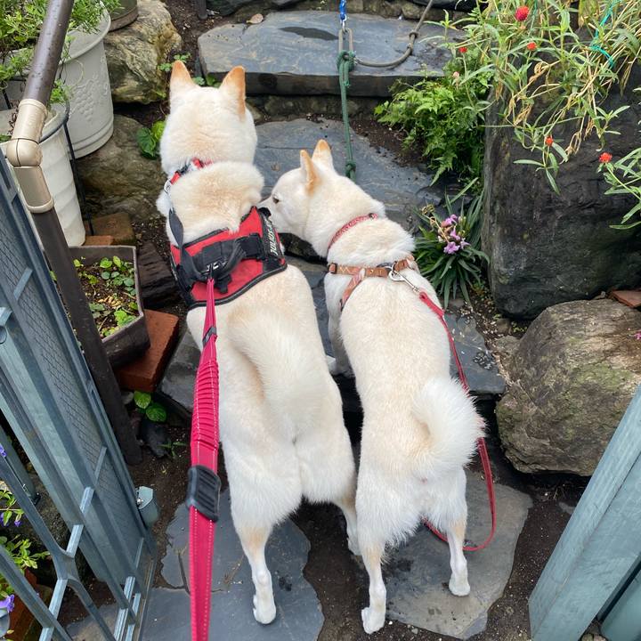 1521e5ba 41bc 494f 8e91 a1dca16f3007 1666476946336