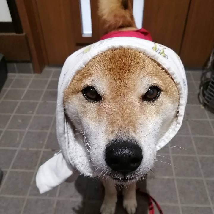 1521fbea c5e3 4373 ab2d 20ced93cbbf6 1671703012844