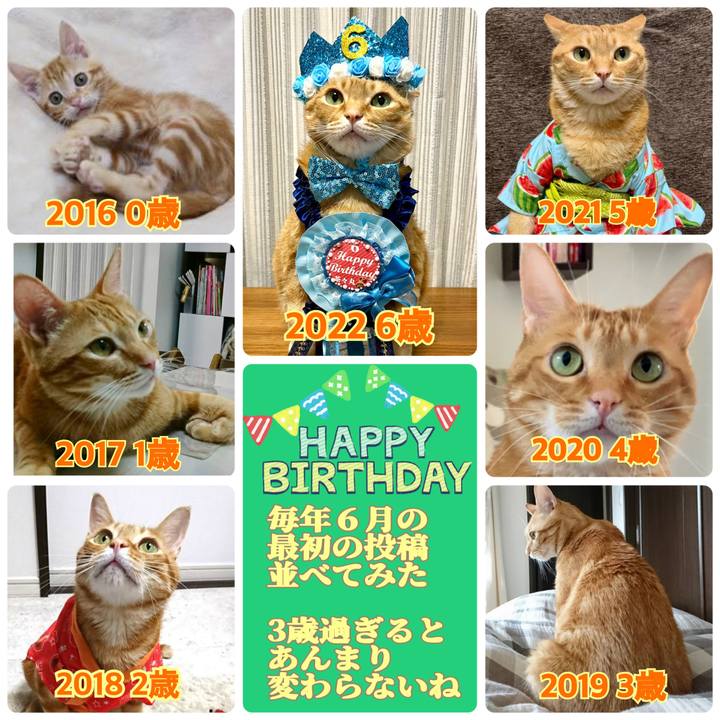 15220c50 86c9 4106 8fde 92d9fbb15e55 1654034555584