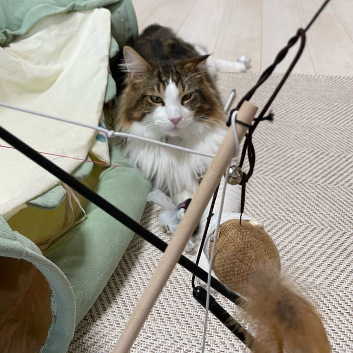 15223e35 42e6 45cb 860d 38e34a4b0497 1648675011957