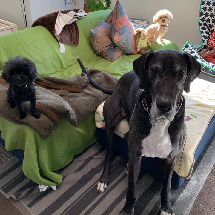 152252bf c31d 42e5 80eb 9de64ed94e92 1554073306268