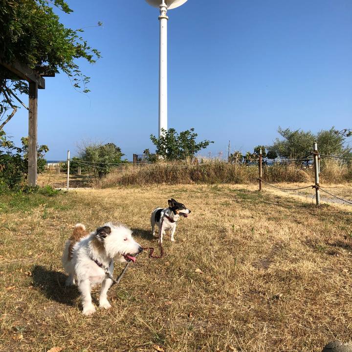 152275d6 8fb4 4e5a b6ff 03125f82553b 1533342471609