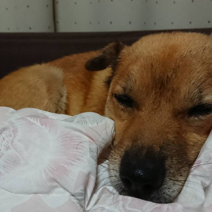 1522b873 5388 4845 a898 21db9579a4cb 1539863392999