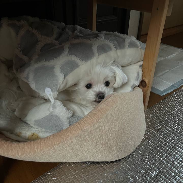 1522f301 7d92 4159 8658 4c1ea31faa44 1772946940916