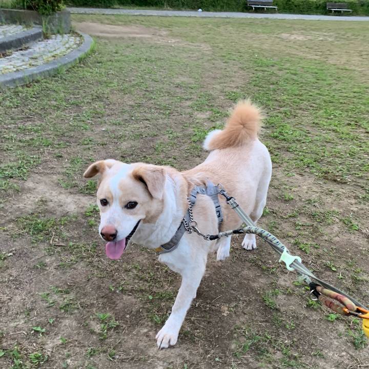 15231878 c8ad 4327 968b 75442f32e228 1559213038606