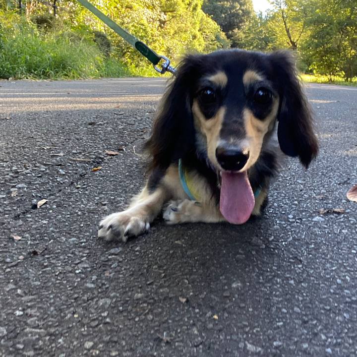 15235a37 d07c 41af 8389 c81826c61913 1692918095231