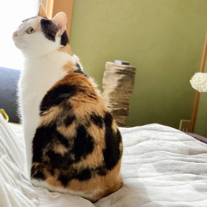 152366ef aabf 4fed 925b 0b2f800fe68c 1552874886037