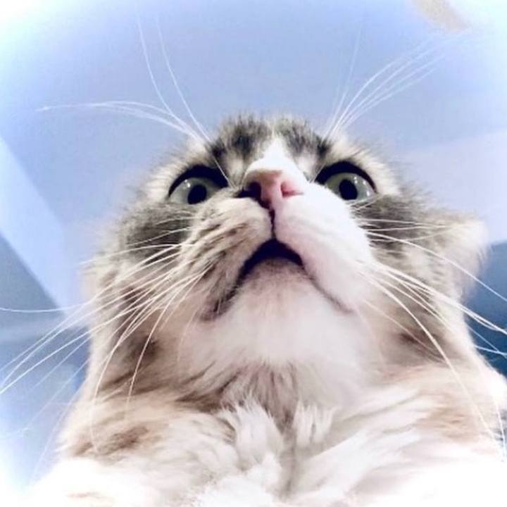 1523d931 382c 4fc3 869c 30b99c72f0a0 1752162245147