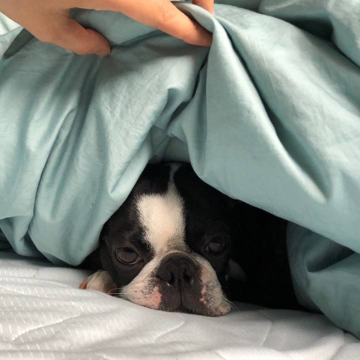 15240411 679e 47c9 8e87 3bc370226c9d 1558608412898