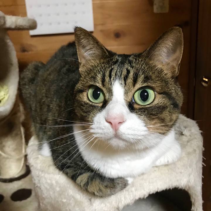 152411dc 09c4 4817 9857 1325efbb09b2 1533823489537